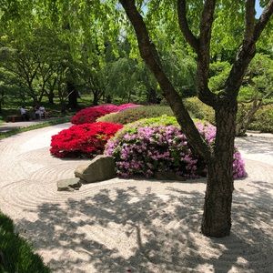 Meet your Posher, Alison